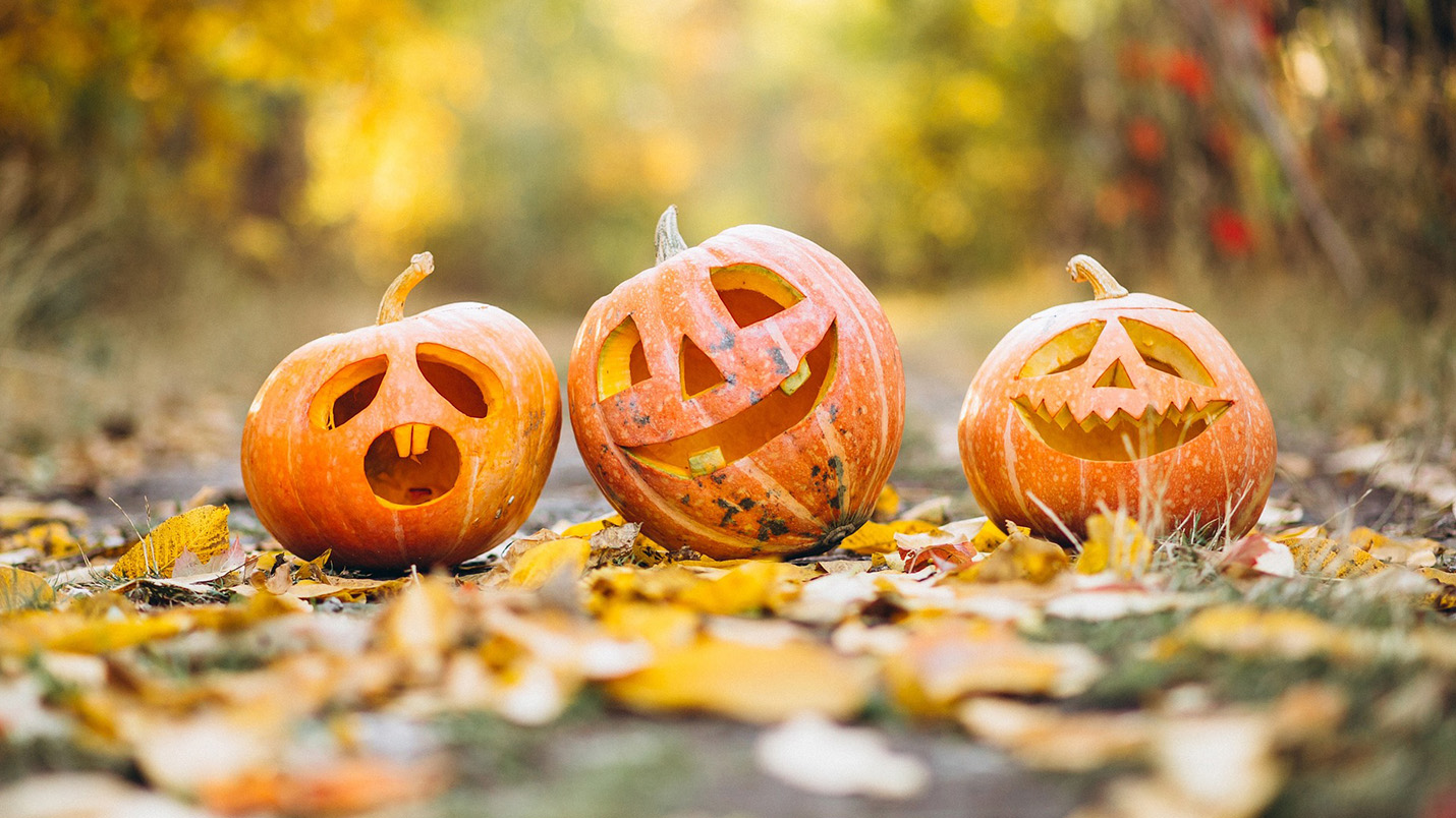 A Spooky Soiree: Halloween Decorating Tricks and Treats